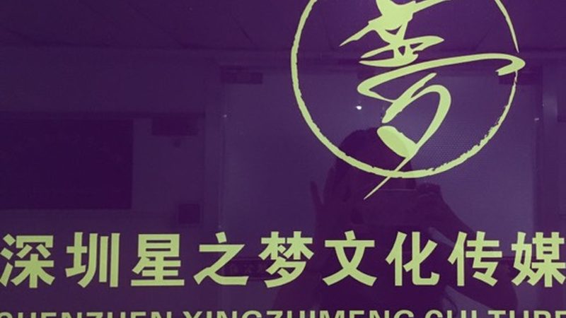 媒介投放行业分类解析：揭秘不同路径下的传播奥秘